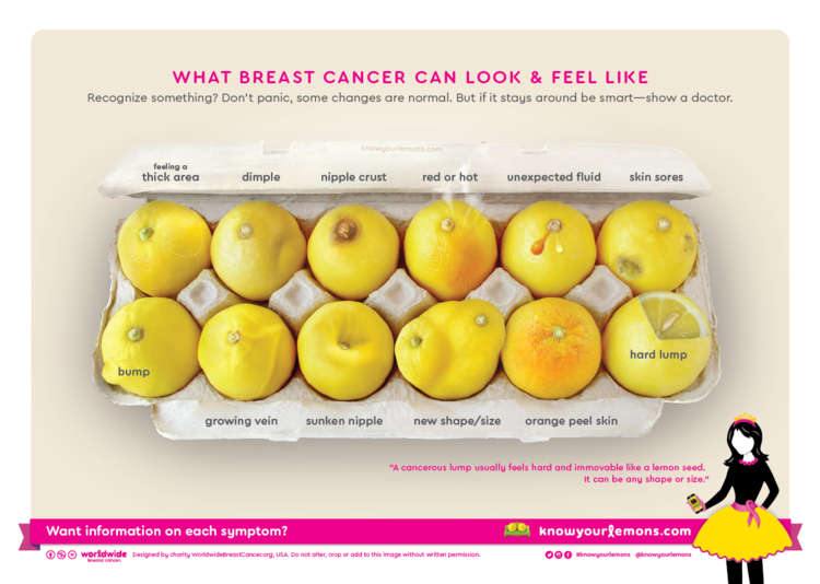 Know Your Lemons Viral Marketing Campaign 2017