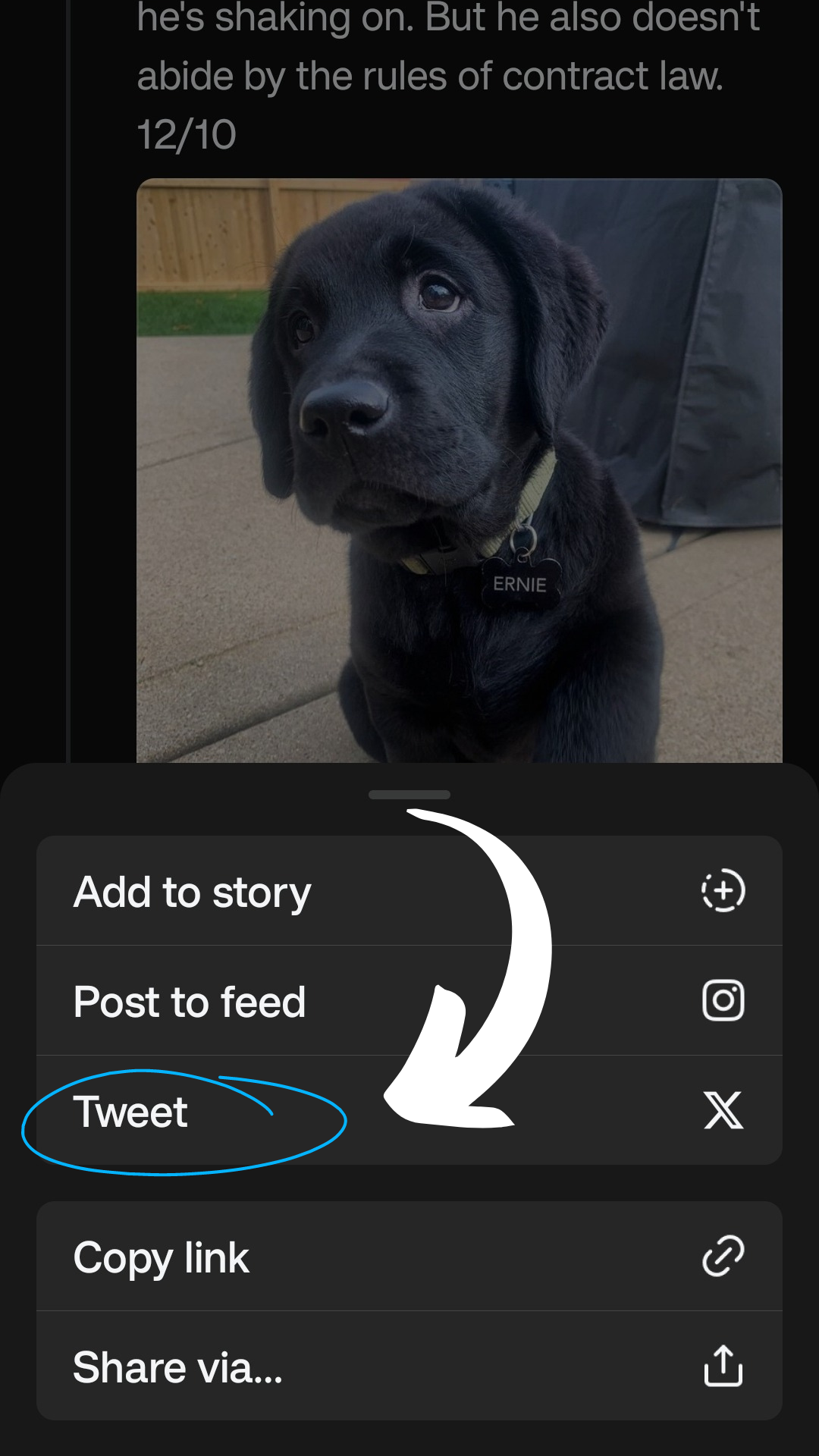 Threads shares to Twitter