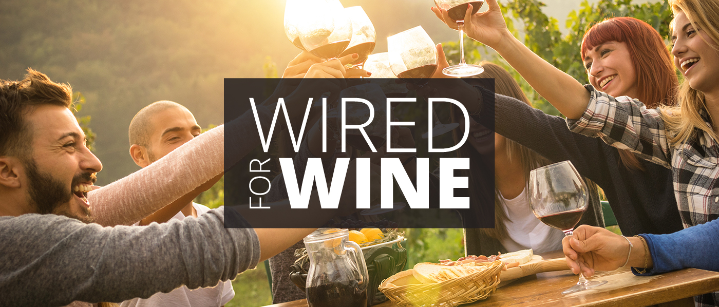 A group of friends enjoying an outdoor picnic with wine, bread, and food while toasting together in a vineyard setting.
